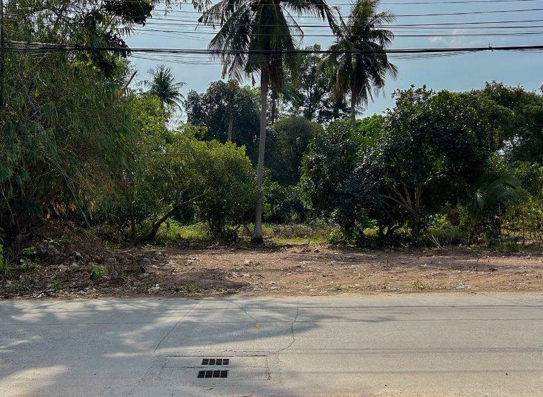 ขายที่ดินสุรศักดิ์ 200 ตรว. ถมแล้วซ.เนินสวัสดิ์ติดถนนลาดยาง ใกล้ท่าเรือแหลมฉบัง-8กม. อ.ศรีราชา ชลบุรี 1