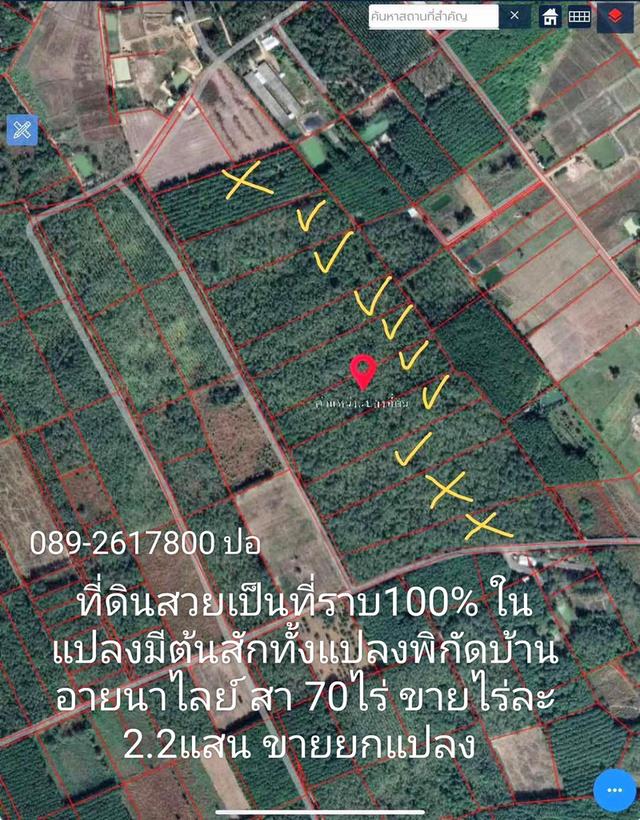 ขายที่ดิน 2