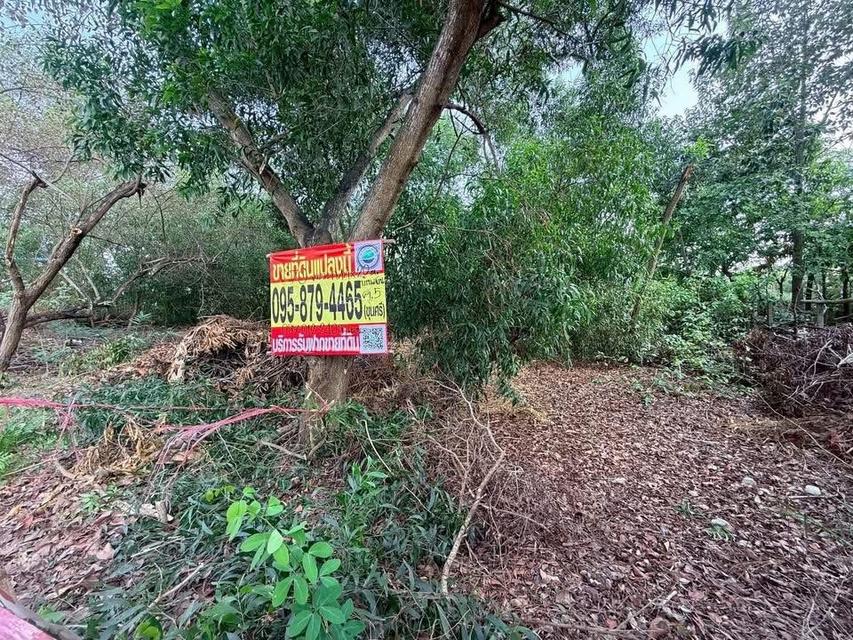 Vายที่ดิน 70 ตารางวา ติดถนนสาธารณะ ถมแล้ว หมู่บ้านสวนรีสอร์ท คลองห้าตะวันตก จ.ปทุมธานี 7