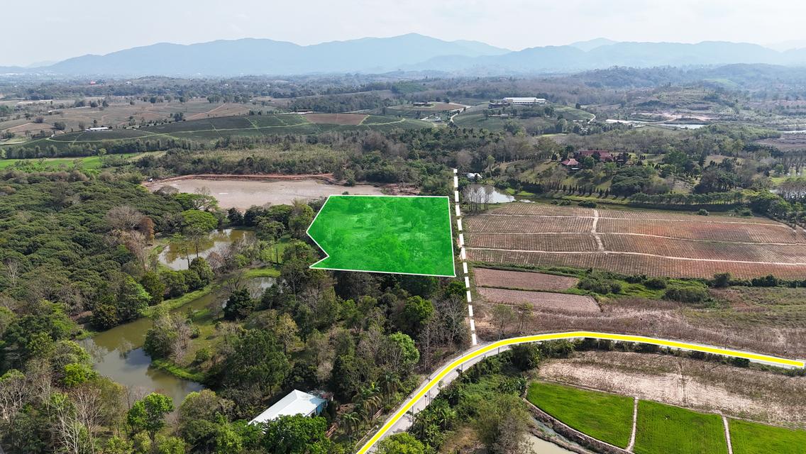 ประกาศขายที่ดิน ทำเลศักยภาพ ใกล้ไร่ชาฉุยฟง ตำบลศรีค้ำ อำเภอแม่จัน จังหวัดเชียงราย 57110 4