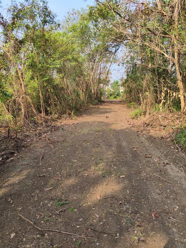 ที่ดินเปล่า แม่เหียะ เชียงใหม่ 7