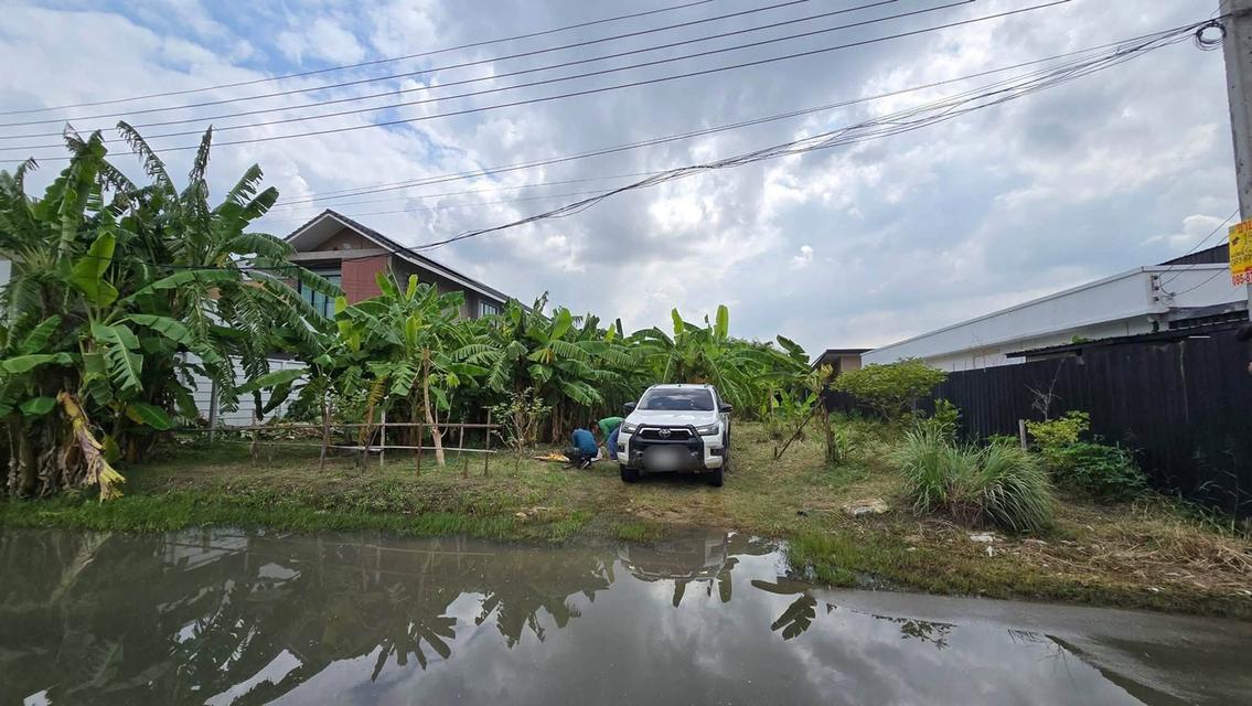 ขายที่ดินพัฒนาการ 191 ตรว ติดถนนลาดยางสาธารณะ ถมแล้ว ซ.พัฒนาการ 96 ประเวศ กทม. 1
