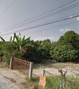 ขายที่ดิน พร้อมสวนลำไย ถ.ท่าศาลา อ.จอมทอง จ.เชียงใหม่ เนื้อที่8ไร่ 1