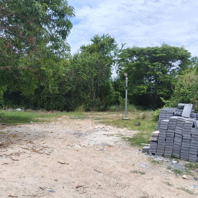 ขายที่ดินพัทยา ต.ห้วยใหญ่ (โดยเจ้าของที่ดิน) 8
