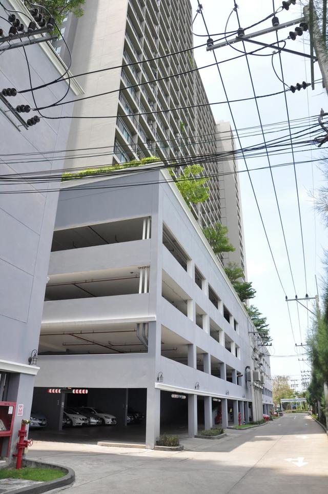 Chapter One Modern Dutch 5