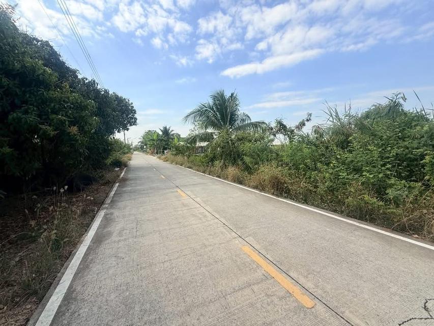 Vายด่วนที่ดิน 512 ตารางวา ใกล้อนามัยบางหลวง ชอยองุ่น บางหลวง เมืองปทุมธานี 2