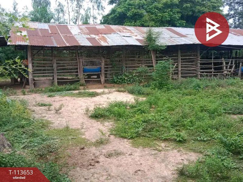 ขายที่ดินพร้อมสิ่งปลูกสร้าง ติดถนนใหญ่ เนื้อที่ 12 ไร่ 2 งาน 79.0 ตารางวา ถนนทางหลวงชนบท ตำบลหมากแข้ง เมืองอุดรธานี 11