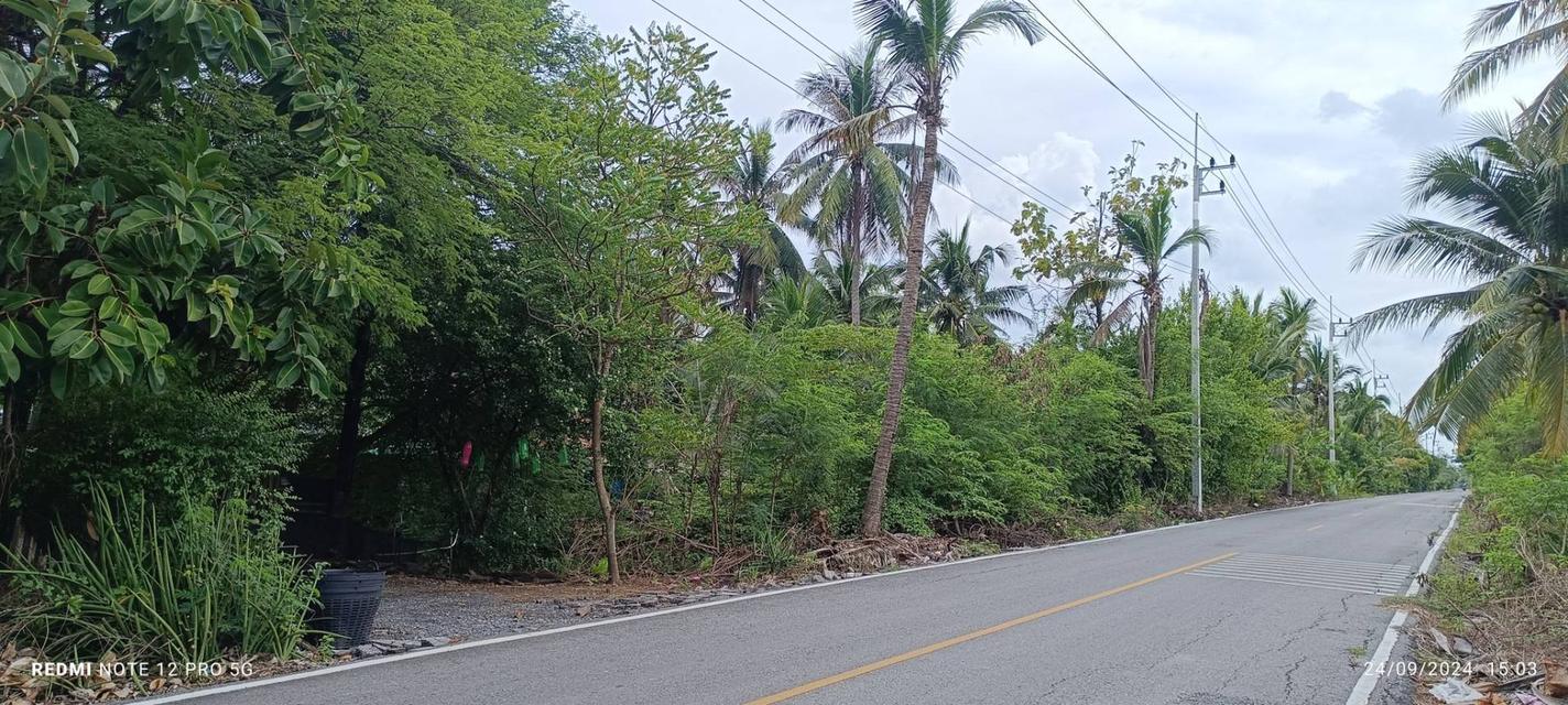ที่ดินสามพราน  3