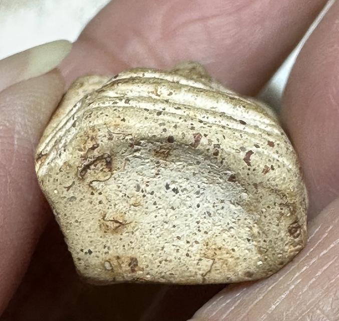 🙏พระคงลำพูน🙏พระกรุเนื้อชิน องค์ละ 800 รูปที่ 10