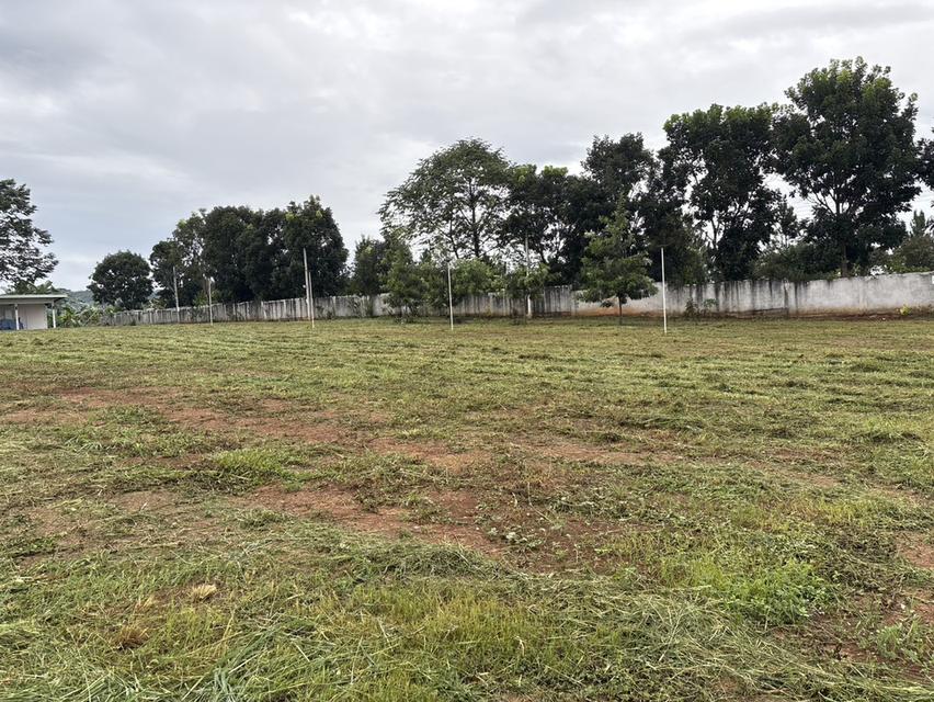 ที่ดินสถานที่ท่องเที่ยว ครุฑแดง หน้ากว้าง 67 ม ซีเมนต์ ระบบนำ้ - ไฟฟ้าเข้าถึง 19