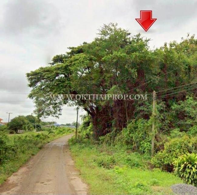 ขายที่ดินพร้อมต้นสัก ใกล้อบต.สร้อยทอง อ.ตาคลี จ.นครสวรรค์ 1