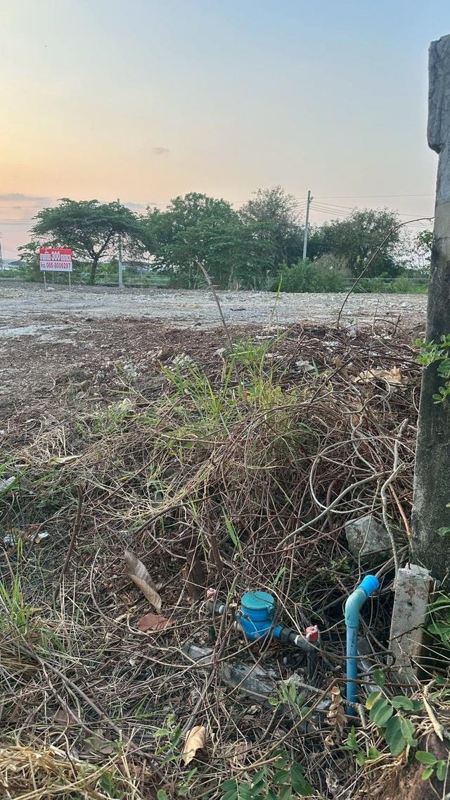 ขายที่ดิน 300 ตรว.แพรกษา ติดคลอง 8