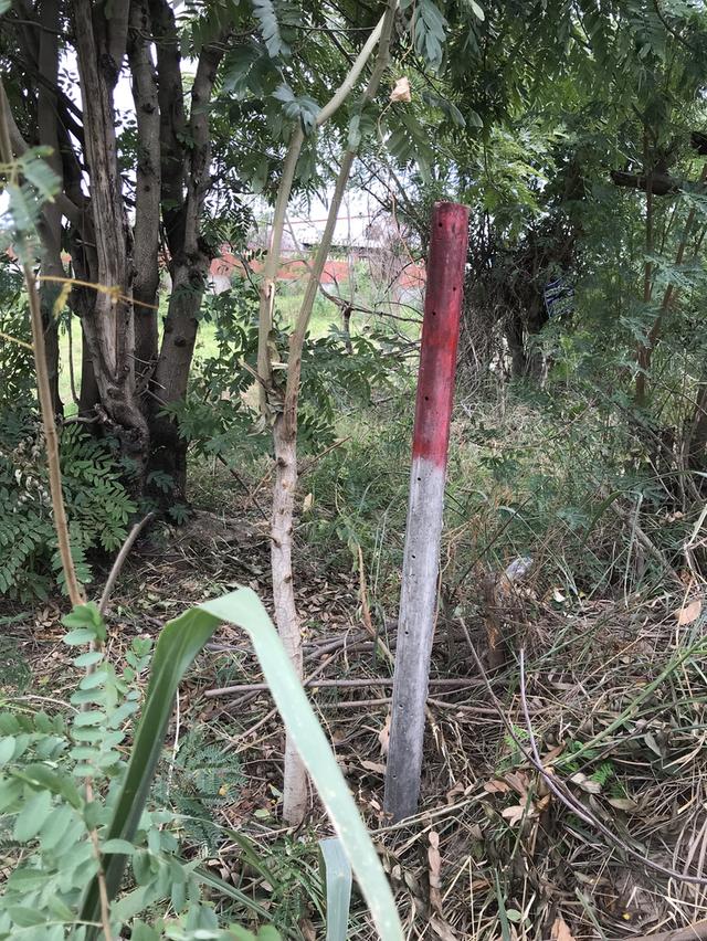 ขายที่ดินแปลงสวย ทำเลดี ติดถนนใหญ่ ตรงข้ามกับบริษัท ฟู่เซิง จำกัด อำเภอดอยหล่อ-จอมทองจังหวัเชียงใหม่ เนื้อที่ 1ไร่สวยรูปสี่เหลี่ยมหน้ากว้าง20เมตร 7