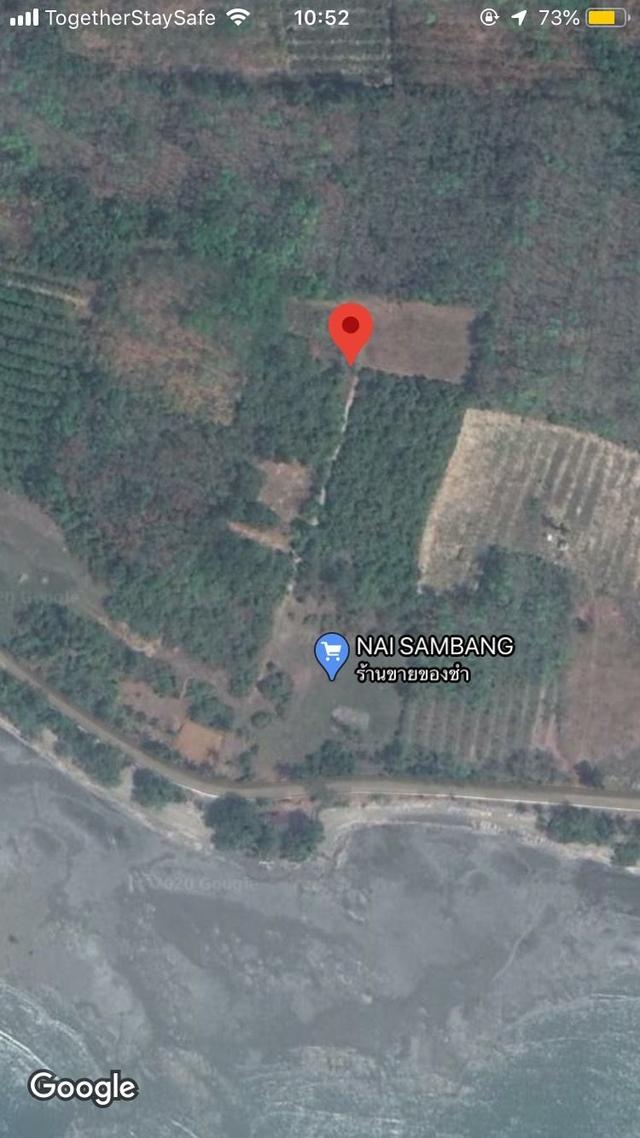 ที่ดินบนเกาะสุกร จ.ตรัง 2