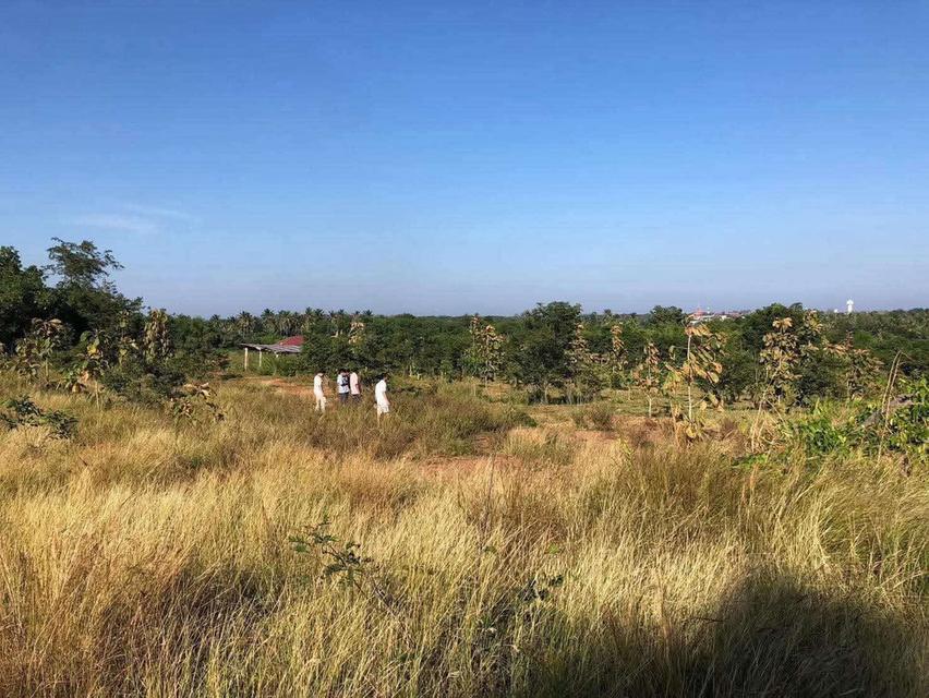 ที่ดินประจวบคีรีขันธ์ (วิวภูเขา) 2