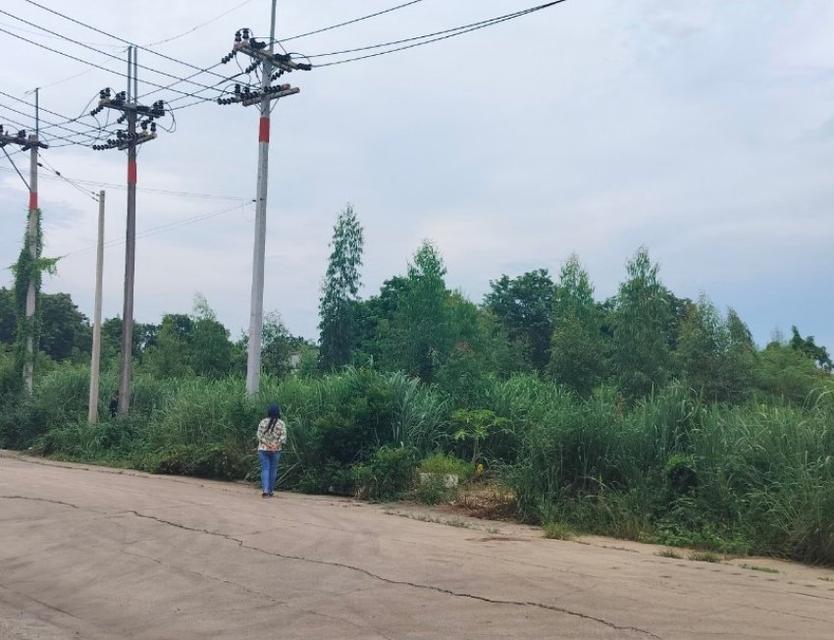 ขายที่ดินคลองหลวงแพ่งเริ่มต้น 243 ตรว. หลังตลาดคลองเจ้า ใกล้ถนนสุวินทวงศ์304-500เมตร เมืองฉะเชิงเทรา 1