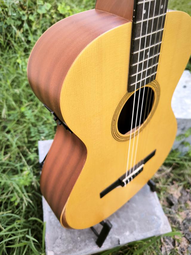 Taylor Academy 12e-N - Naturalกีตาร์สายไนลอนจาก Taylor รูปที่ 3