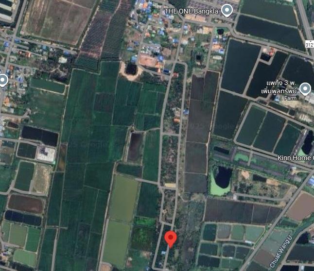 ขายที่ดินจัดสรร 72 ตรว. ใกล้สี่แยกบางคล้า ต.เสม็ดเหนือ จ.ฉะเชิงเทรา 3
