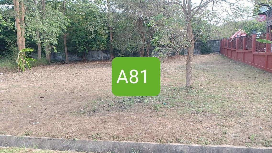 ที่ดินเปล่า 178 ตาราวา บ้านเนินน้ำ ตะเคียนเตี้ย บางละมุง ชลบุรี 1