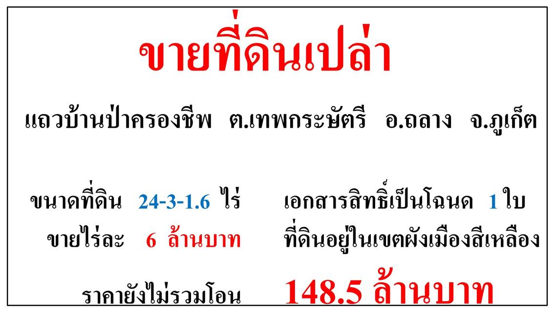 ขายที่ดินเปล่า ขนาด 24-3-1.6 ไร่ **แถวบ้านป่าครองชีพ** อ.ถลาง ภูเก็ต (ไร่6ลบ.) 2