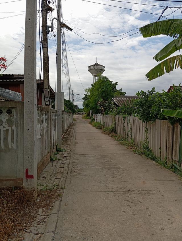 ขายที่ดิน 100 ตรว. เชียงใหม่ 3