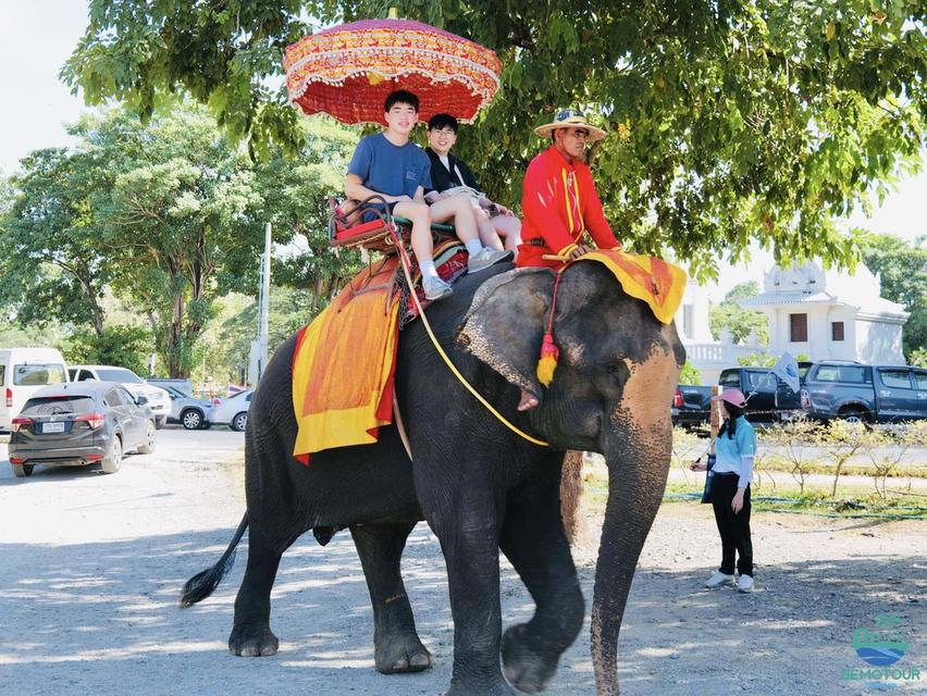 โปรแกรม AY224 ทัวร์อยุธยา One day trip by Bemotour นักท่องเที่ยวไทย : ท่านละ 1,500 บาท