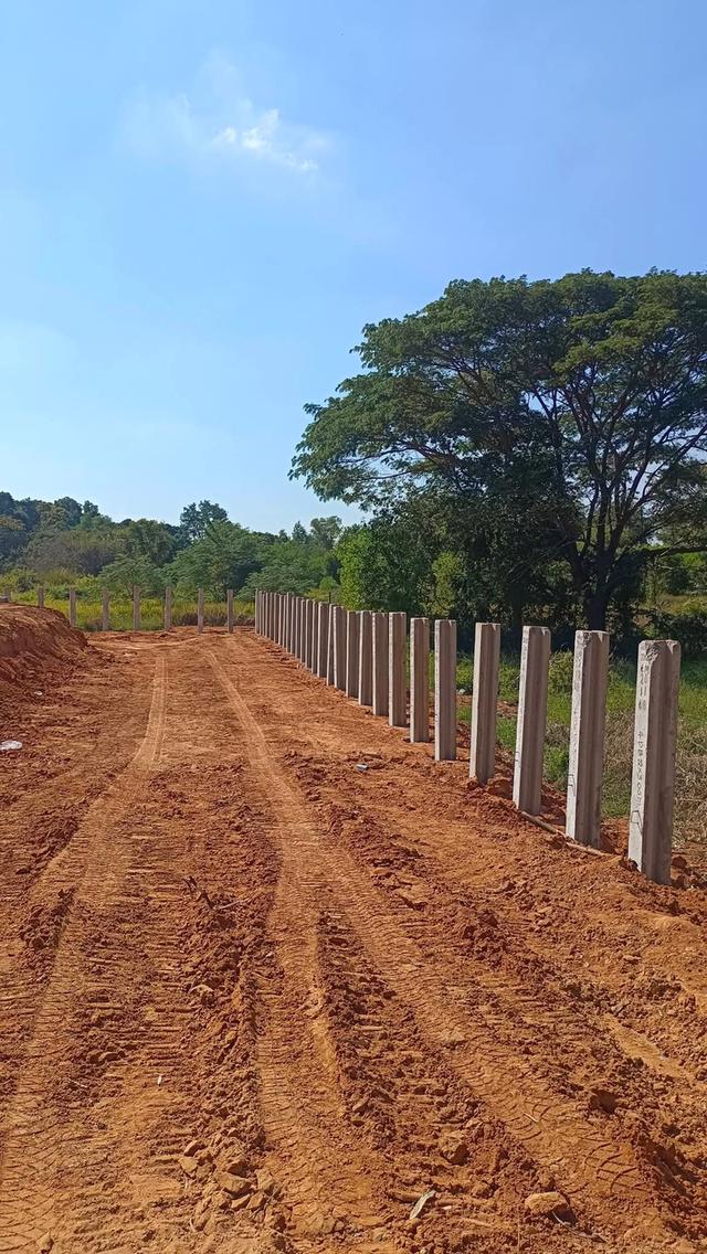 ขายที่ดินตำบลโพธิ์กลางอำเภอเมืองนครราชสีมา ขนาดที่ดิน 15-3- 80 ไร่ รูปที่ 2