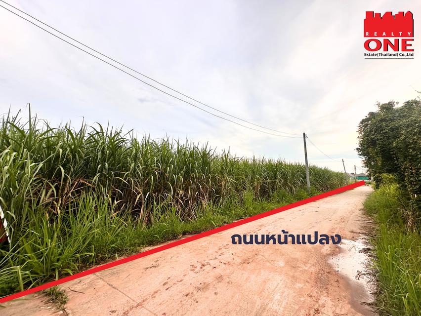 ขายที่ดินทำเลทอง 33 ไร่ ต.สูงเนิน จ.นครราชสีมา ห่างจากเมืองโคราช 30 กิโล ราคาไร่ละ 1.2 ลบ. 4