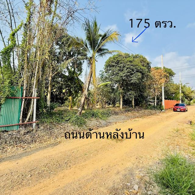 ที่ดินสวย ใกล้สน. ประชาสำราญ หนองจอก 4