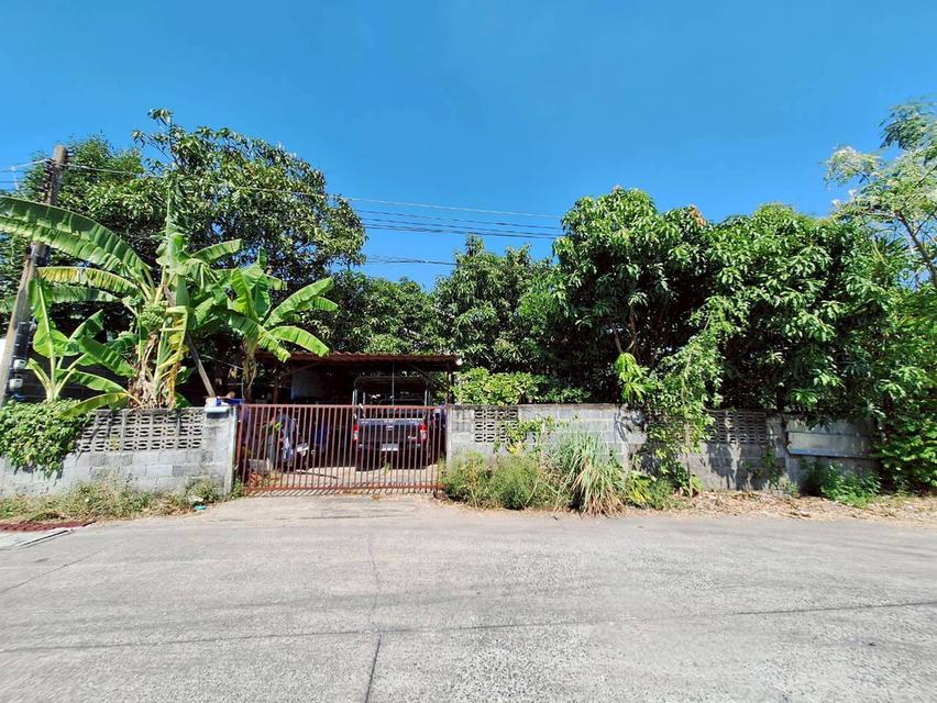 ที่ดินพร้อมสิ่งปลูกสร้าง ซอยไสวประชาราษฎร์ 33 (ร่วมสุข8) ลำลูกกาคลอง 4 ถนนลำลูกกา ต.ลาดสวาย อ.ลำลูกกา จ.ปทุมธานี 1