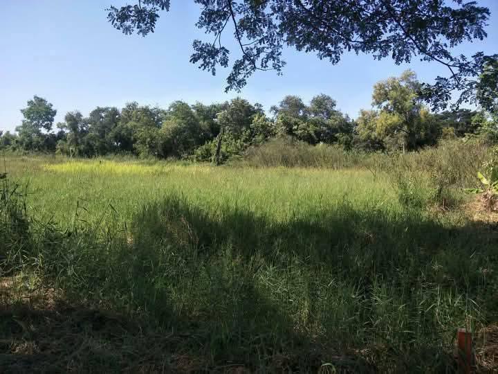 ที่ดินว่างเปล่า 3