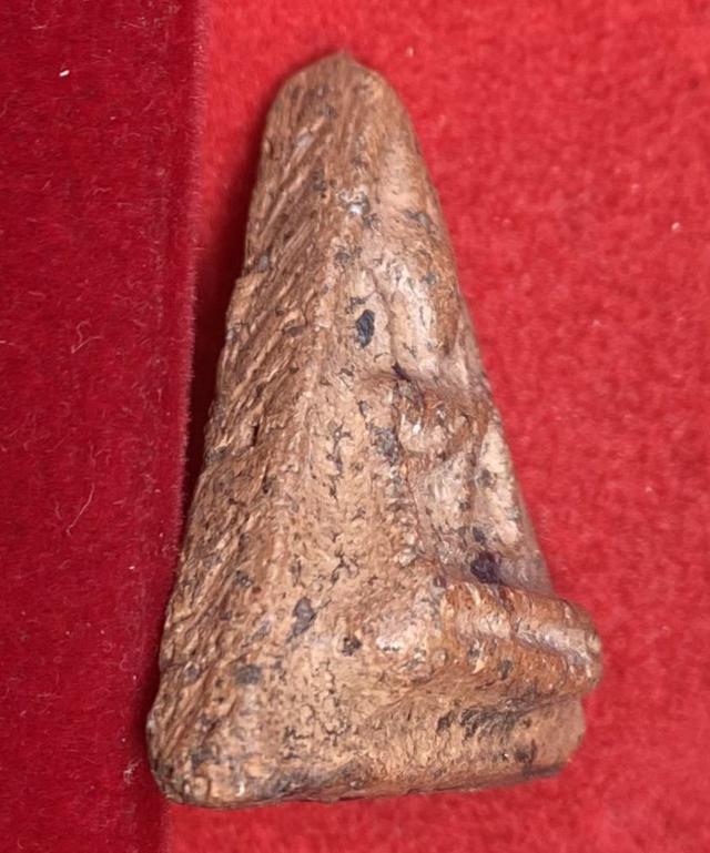 พระนางพญา กรุโรงทอ พิษณุโลก พิมพ์มีหู มีรารักชัดมาก