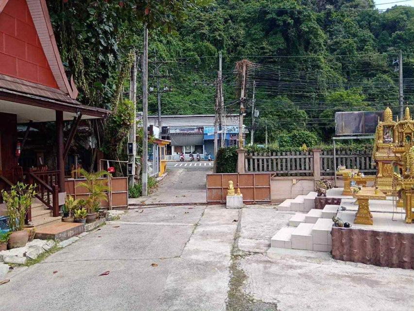ที่ดิน 3