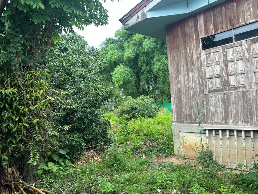 ขายบ้าน 1.25 ล้านบาท เจ้าของขายเอง 3