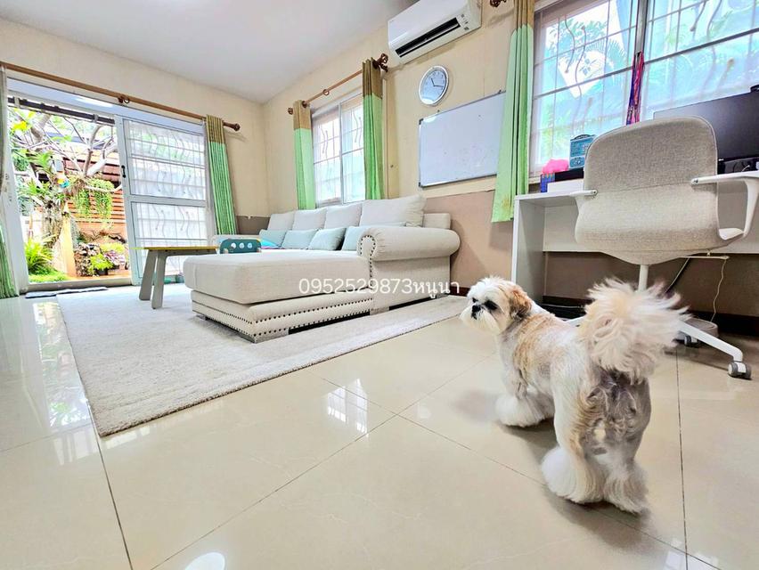 🎑ทำเลบางใหญ่ 🏡#หมู่บ้านพฤกษาวิลเลจ10 🩴ทำเล : พระราม5 - บางใหญ่ 🏞️พื้นที่ 55 ตร.ว. 🛏️ฟังก์ชั่น : 3 นอน 2 น้ำ 1 ครัว 2 จอด 💵เพียv 3.8ลบ.✔️✔️✔️ ⭐️ 13