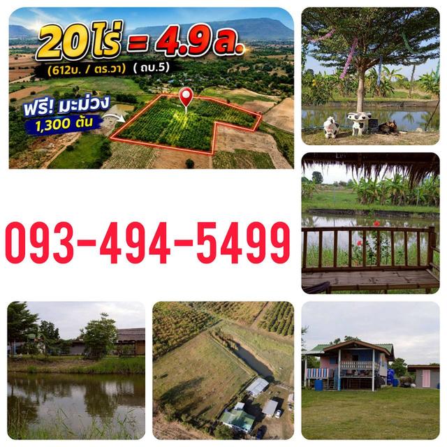 ขายที่ดินทางเลือก (ภบท5) ราคาจับต้องง่าย. ( 612บ./ ตร.วา ) ( 20 ไร่. : 4.9 ล้าน ) | ซื้อขาย เปลี่ยนชื่อได้ : พื้นที่. ปลอดภัยฯ หายห่วง | อากาศบริสุทธิ 14