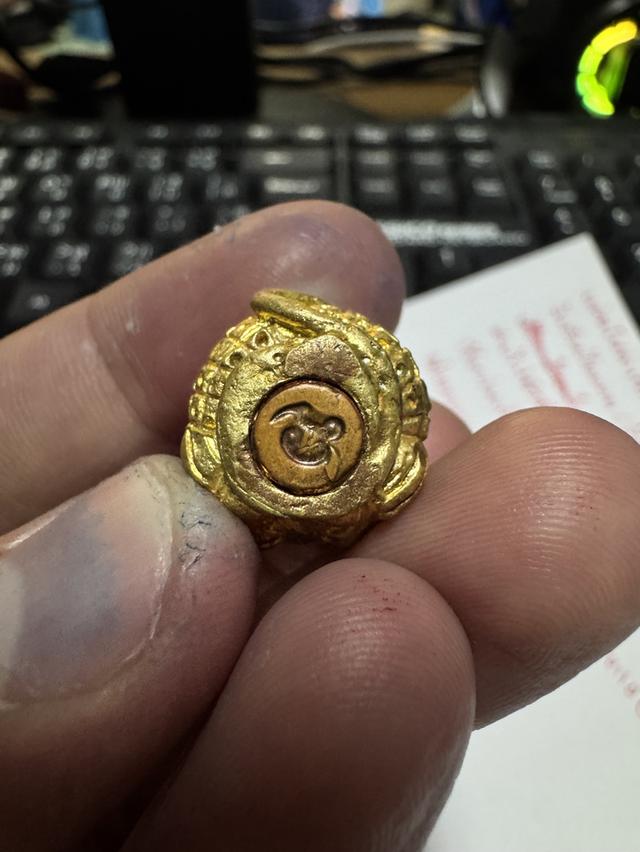 เสือพุทธาคม9 รุ่นอุ้มทรัพย์ ลพ.หวล วัดชาวเหนือ รูปที่ 3