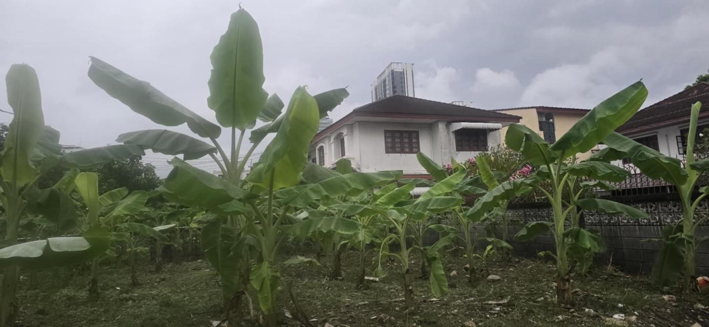 ที่ดิน สุทธิสาร รัชดาภิเษก กรุงเทพ 6