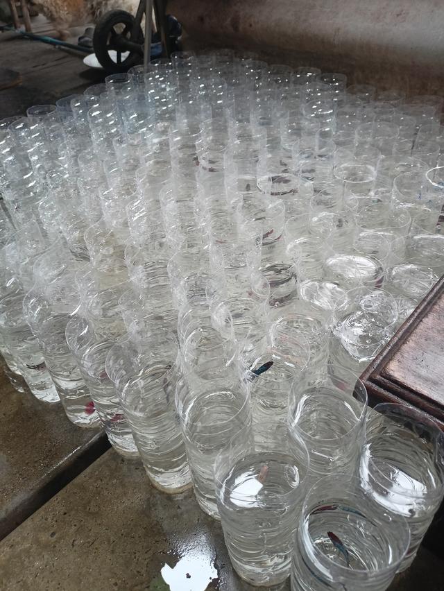 ปลากัดสวยงามราคาส่ง เริ่มต้นที่ 20 12