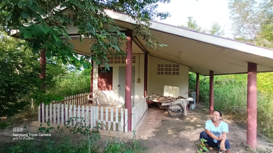 ยังขายอยู่นะครับบ้านสวนพร้อมที่ดิน จ.หนองคายครับ อยู่ในเขต บ้านหนองสองห้อง อ.เมือง หมู่ 8 เนื้อที่ 2 ไร่ 3.3 ตร.ว ติดทางสาธารณะ 2 ด้านเลย 6