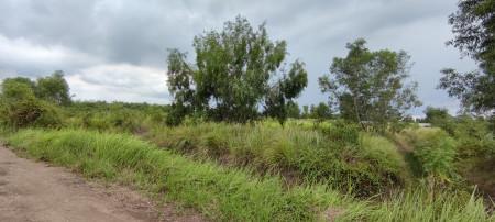 ขาย ที่ดิน 2 ไร่ คลอง 14 หนองเสือ ปทุมธานี ใกล้ถนนเลียบคลอง 14  เจ้าของขายเอง 4