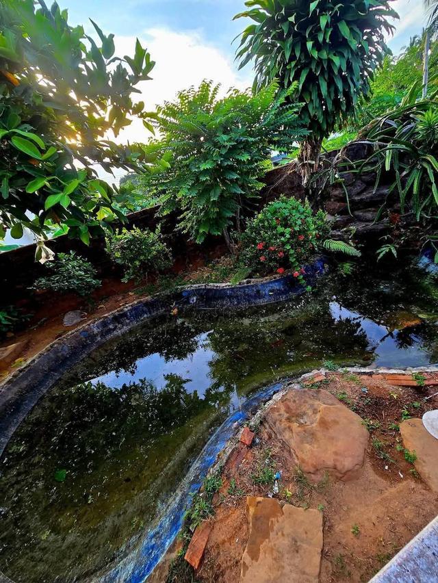 ทาวน์เฮาส์มือสองเจ้าของขายเอง 3