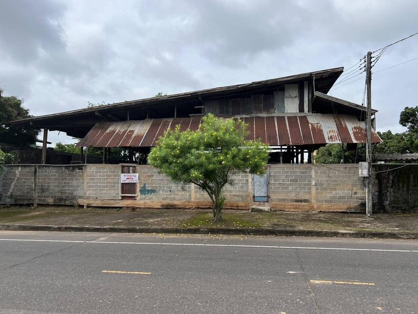 ขายที่โกดังติดถนนหลังเส้นโรงพยาบาลสมเด็จพยุพระราชเลิงนกทา หน้ากว้างติดถนน 32ม.ลึก43 ม.เนื้อที่ทั้งหมด3.617 งาน ห่างโรงพยาบาล 300 เมตร  เขต ทต.เลิงนกทา 6