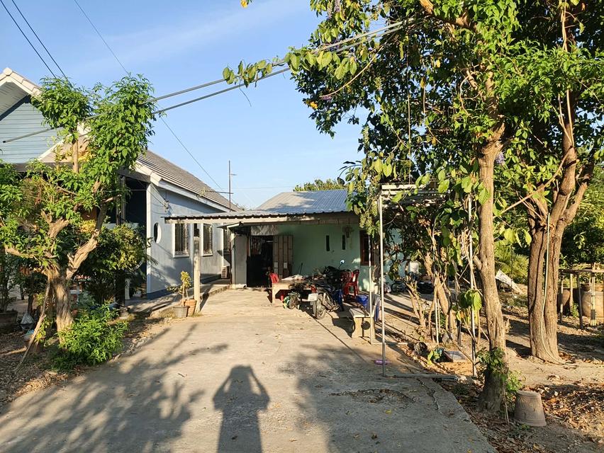 ที่ดินและบ้านพร้อมอยู่ 4