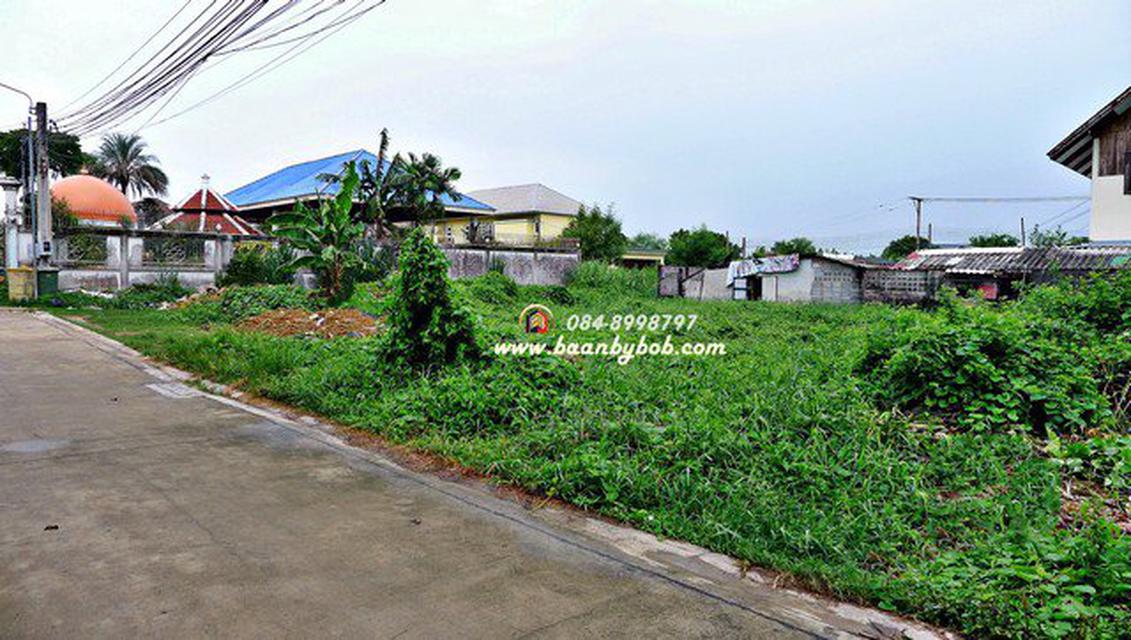 ขายที่ดิน พุทธมณฑล สาย1 272 ตร.วา