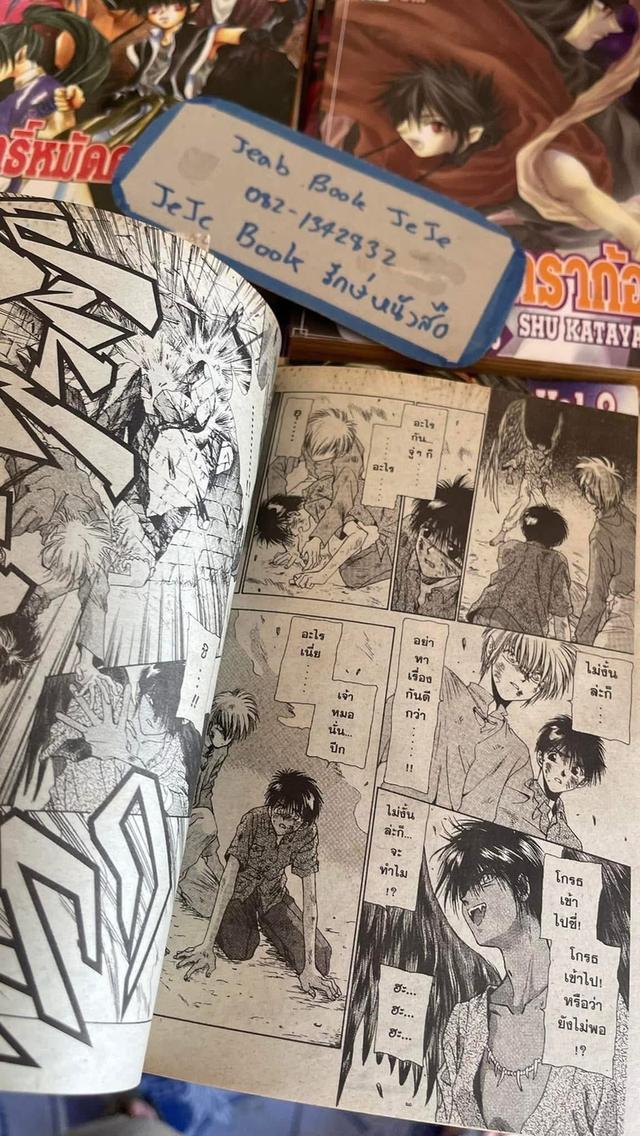หนังสือการ์ตูน ฤทธิ์หมัดดราก้อน 1-14 จบ รูปที่ 4