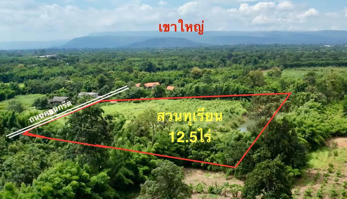 ขายสวนทุเรียน12.5ไร่ๆละ9แสนบาท อ.เมือง จ.ปราจีนบุรี โทร0813763803 2