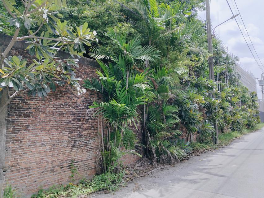 ที่ดิน กรุงเทพกรีฑาซอย 8 แยก 16 3