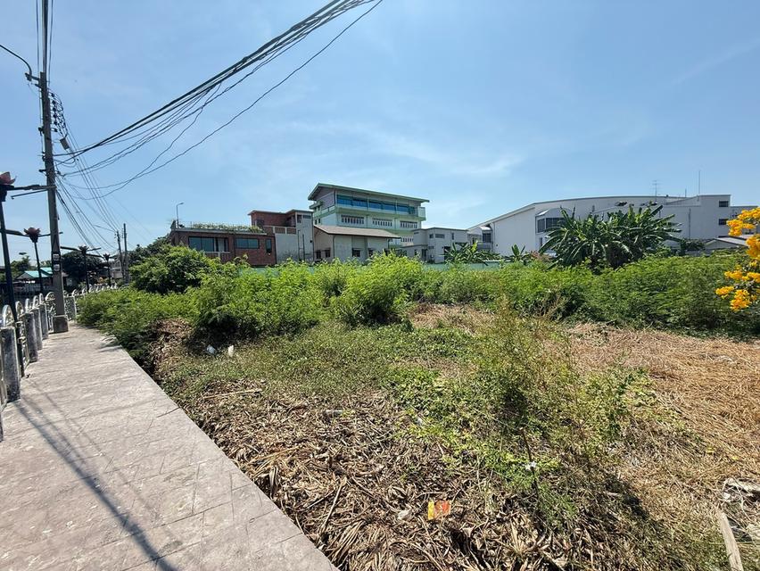 ที่ดินเปล่า ติดบิ๊กซีบางพลี ใกล้ตลาดน้ำบางพลี 6
