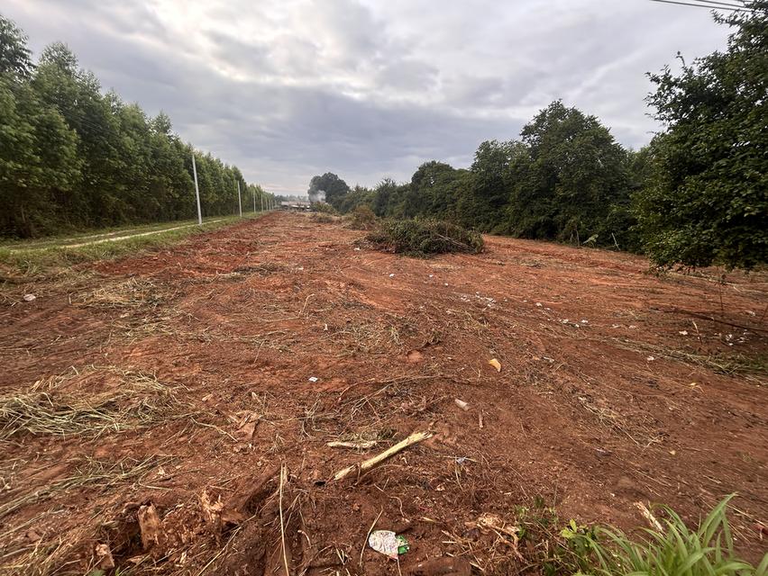 ขายที่ดิน  2 ไร่ห่างจาก331 หนึ่งกิโล 6